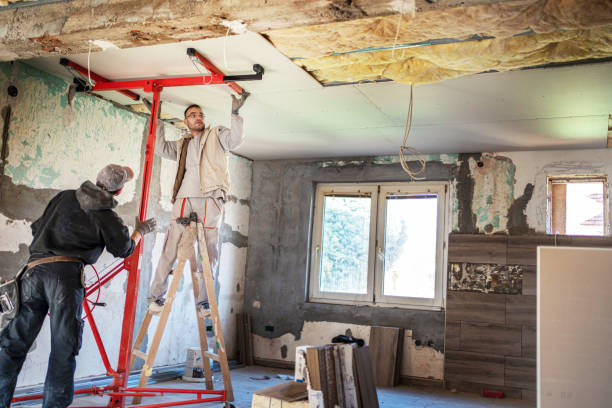 Best Insulation Replacement Services  in Bicknell, IN