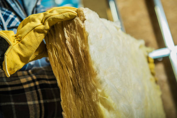 Best Crawl Space Insulation  in Bicknell, IN