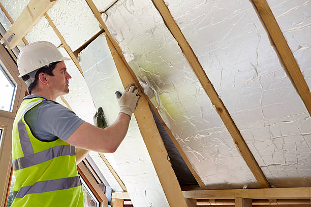 Best Insulation Contractors for Homes  in Bicknell, IN